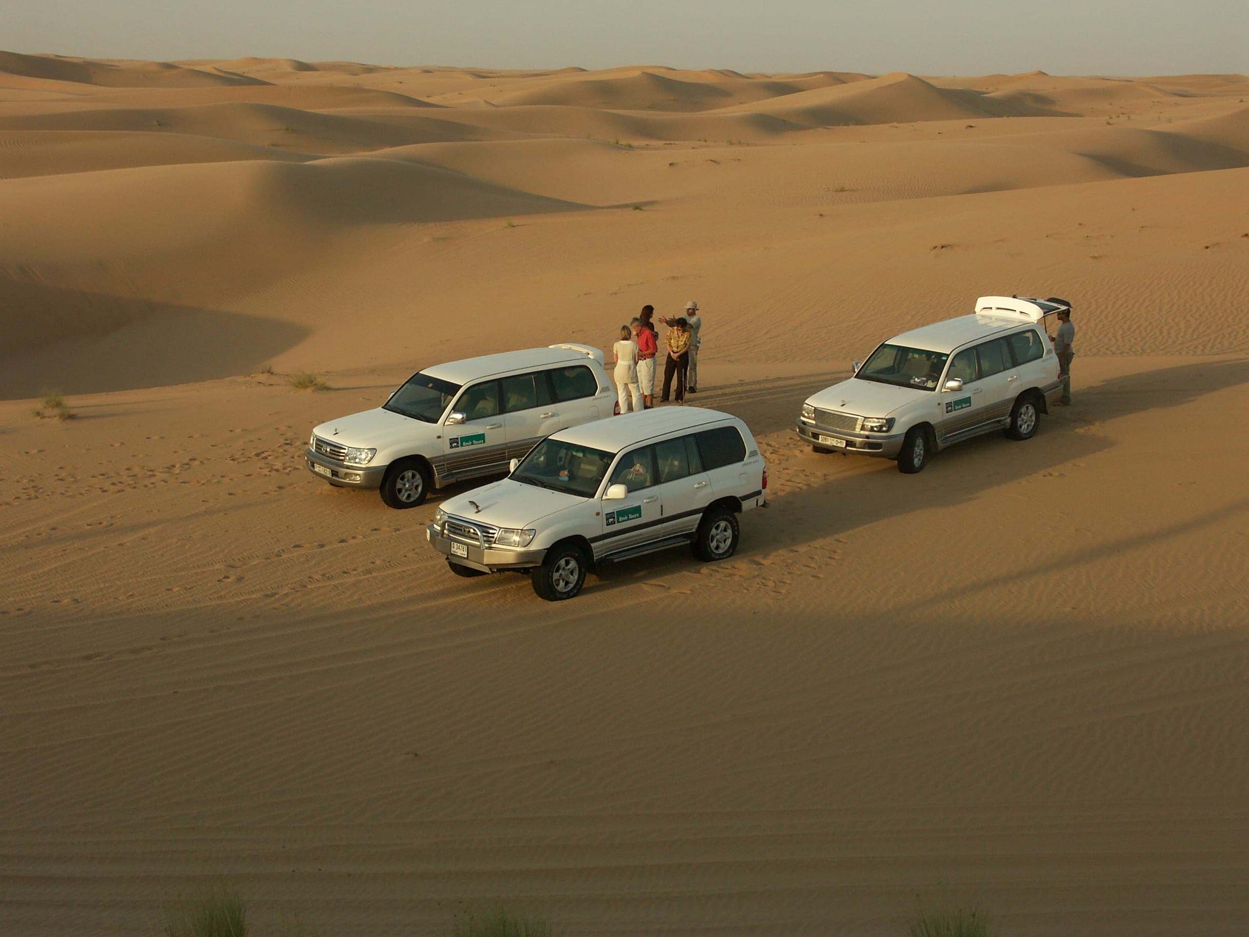 Safari Gallery